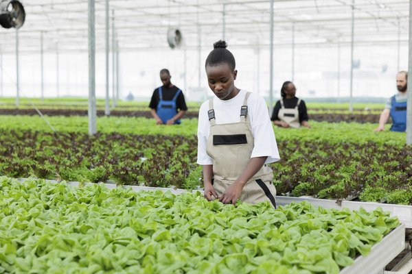 Quelle est la meilleure méthode pour enseigner la notion de symétrie axiale en mathématiques de CE1 ?